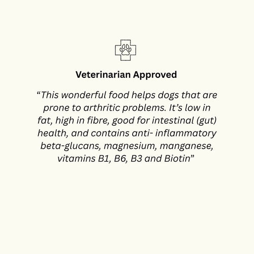 Plant-Powered Original Recipe