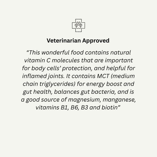 Plant-Powered with Rosehips